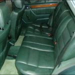 Leder 266 piniengruen